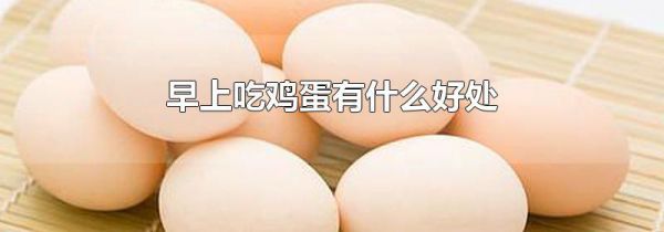 早上吃鸡蛋有什么好处