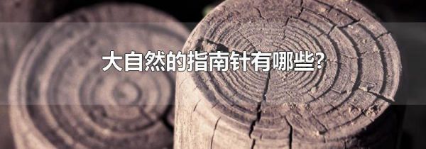 大自然的指南针有哪些?