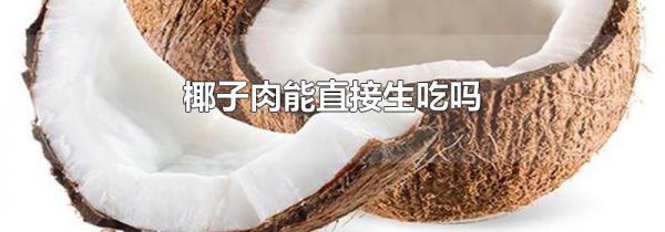 椰子肉能直接生吃吗