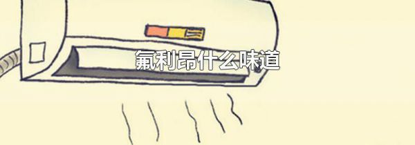 氟利昂什么味道