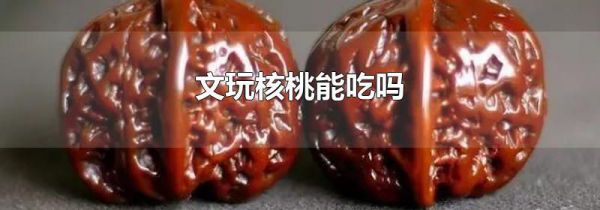 文玩核桃能吃吗
