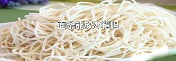 面条能放冰箱吗
