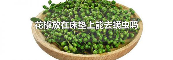 花椒放在床垫上能去螨虫吗