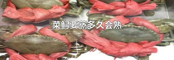 菜鲟要蒸多久会熟