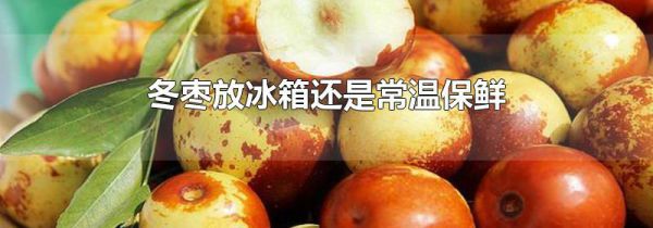 冬枣放冰箱还是常温保鲜