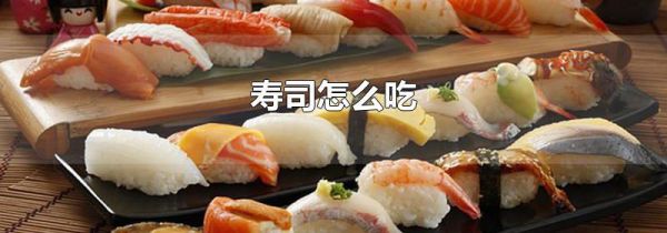 寿司怎么吃