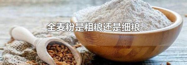 全麦粉是粗粮还是细粮