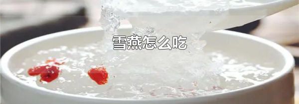 雪燕怎么吃
