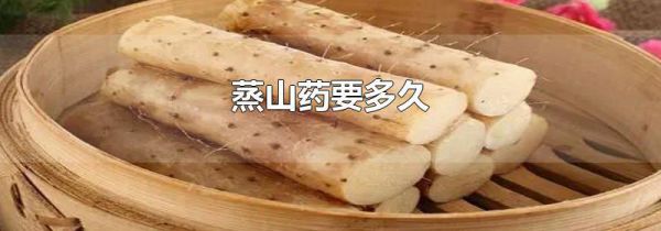 蒸山药要多久