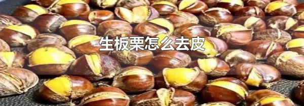 生板栗怎么去皮