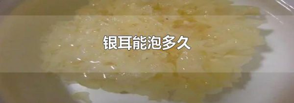 银耳能泡多久