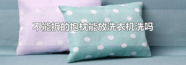 不能拆的抱枕能放洗衣机洗吗