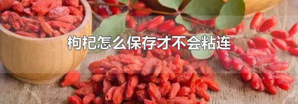枸杞怎么保存才不会粘连