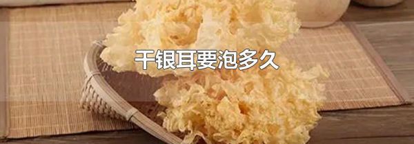 干银耳要泡多久