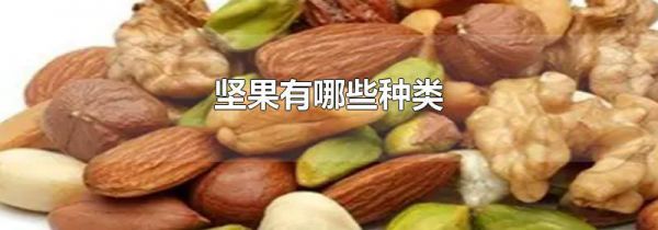 坚果有哪些种类