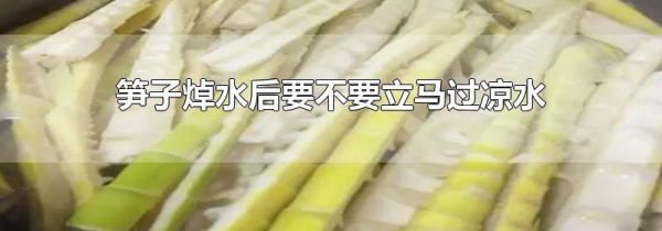 笋子焯水后要不要立马过凉水