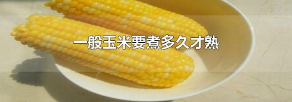 一般玉米要煮多久才熟