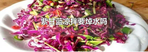 紫甘蓝凉拌要焯水吗