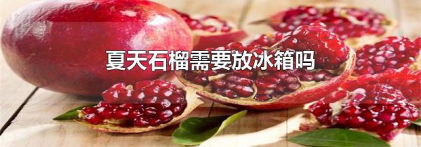 夏天石榴需要放冰箱吗