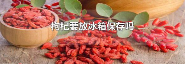 枸杞要放冰箱保存吗
