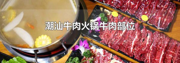 潮汕牛肉火锅牛肉部位