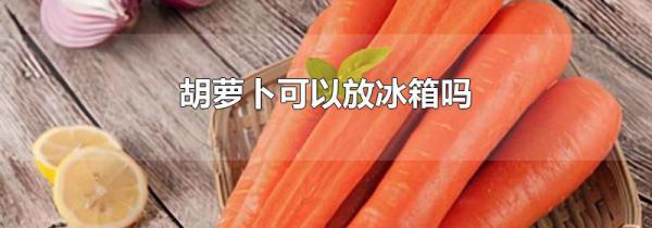 胡萝卜可以放冰箱吗