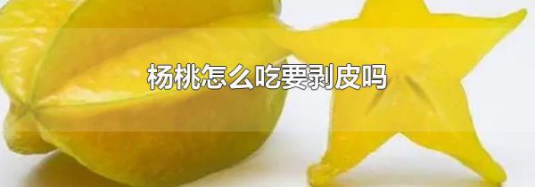 杨桃怎么吃要剥皮吗