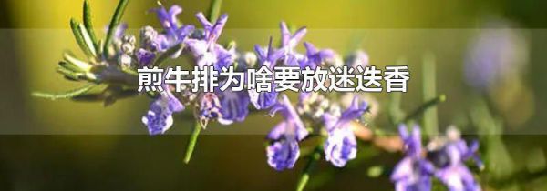 煎牛排为啥要放迷迭香