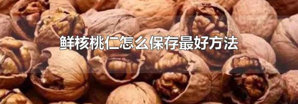 鲜核桃仁怎么保存最好方法