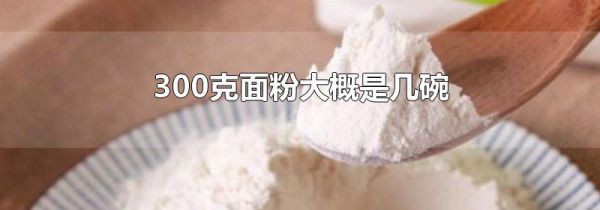 300克面粉大概是几碗