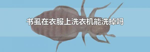 书虱在衣服上洗衣机能洗掉吗