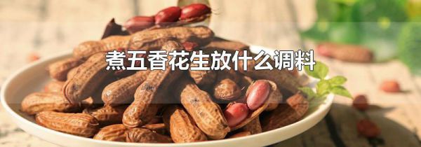 煮五香花生放什么调料