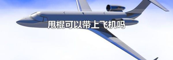 甩棍可以带上飞机吗