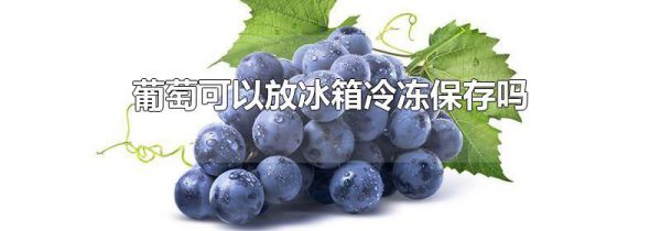 葡萄可以放冰箱冷冻保存吗