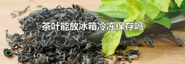 茶叶能放冰箱冷冻保存吗