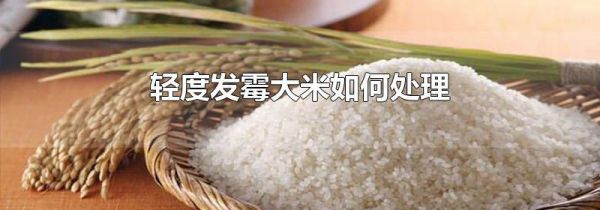 轻度发霉大米如何处理