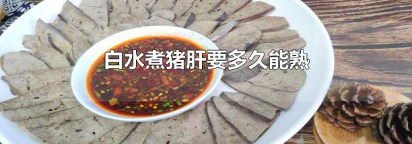 白水煮猪肝要多久能熟