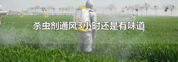 杀虫剂通风3小时还是有味道
