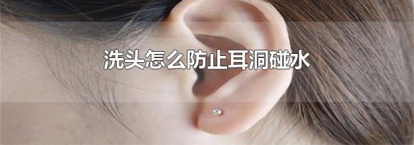 洗头怎么防止耳洞碰水