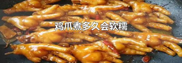 鸡爪煮多久会软糯