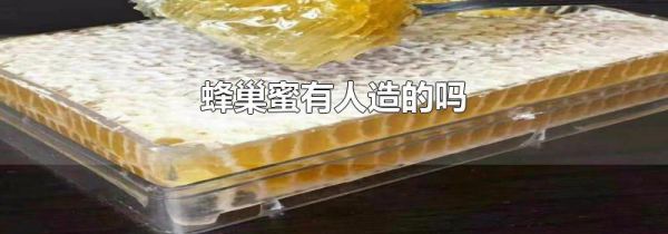 蜂巢蜜有人造的吗