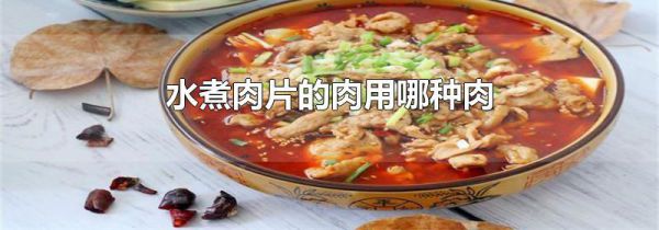 水煮肉片的肉用哪种肉