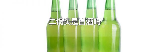 二锅头是白酒吗