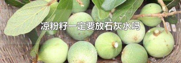 凉粉籽一定要放石灰水吗