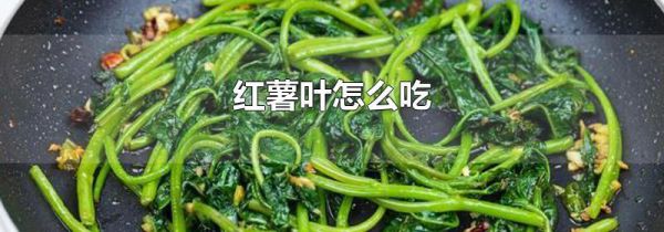红薯叶怎么吃