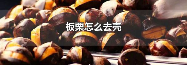 板栗怎么去壳