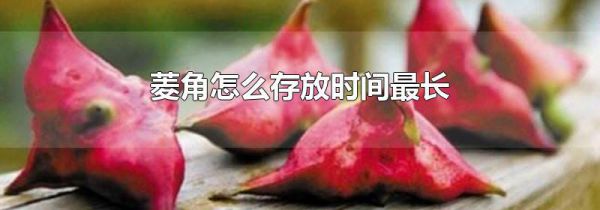 菱角怎么存放时间最长