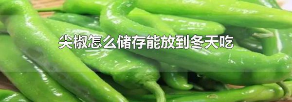 尖椒怎么储存能放到冬天吃