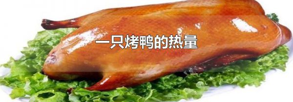 一只烤鸭的热量