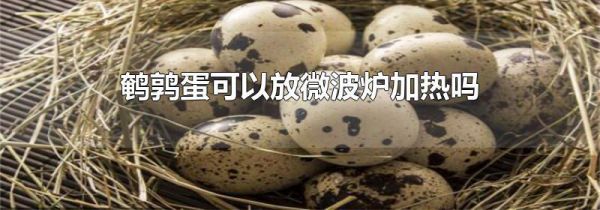 鹌鹑蛋可以放微波炉加热吗